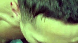 mamou at� tirar todo leite augusto phellipe