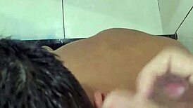 mamou at� tirar todo leite augusto phellipe