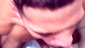 mamou at� tirar todo leite augusto phellipe