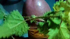 Ifoslave indulges in rubber band play.