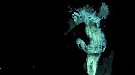 dark lantern entertainment shares vintage interracial stories from a victorian gentleman's erotic confessions