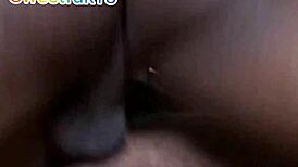 Another New Neighbor Having A Good Time