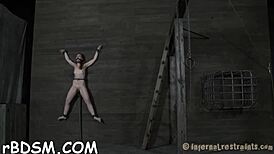 Brunette Babe Surrenders To Intense Bdsm Toys And Blowjob