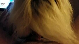 What's in hotel starlite with shemale?