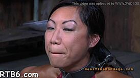 미니 케이지에 갇힌 네 미녀들, 너무 흥분돼