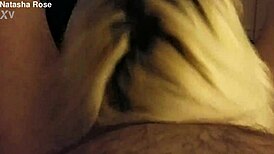 What's in hotel starlite with shemale?