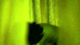 Seductive brunette teases with erotic dance and striptease