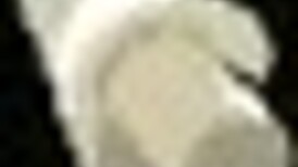 Spooky Milk Life Gameplay: How to Make Santa Come to Your Home with All the Toys