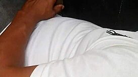 Chacal masturbates on public bus as shemale