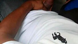 Chacal masturbates on public bus as shemale