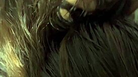 فضيحة ام حماده شرموطة المطرية مع زبون احا ما تنيك ياخول يا معرص ارزع كسى جامد كسم شخرتها فاجرة