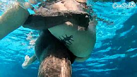 뜨거운 젊은 18+ 아마추어 물속 거대한 BBC 야한 박기