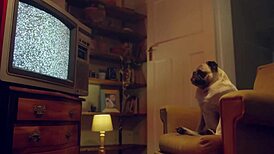 Shona River's Intense POV Deepthroat Blowjob