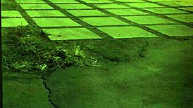 Wanna see sexy butt plug bondage?