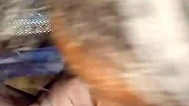 lil girl gives car blowjob cum