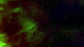 Mexican Amateur Blows Big Black Cock