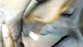 Hot Close-Up Fucking Poly Student Girl No Condom