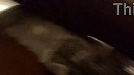 Step mom moans to xvkendollar2 during rough hardcore