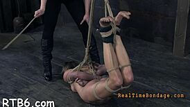 hey, wanna try some wild sadomasochism kinks with me tonight?