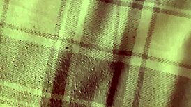 the best oral pleasure experience you've ever had