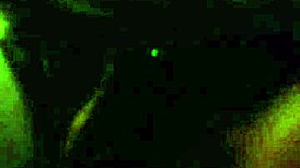 i'm miss b suckin' that big dick