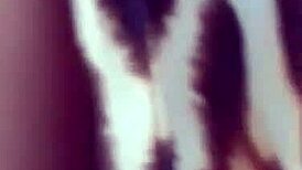 Hot BBW pornstar rides Johnny Gab's cock