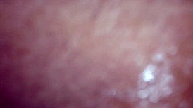 Pammira's Intriguing Life Story