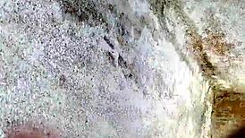 Indian cock gets hard in desiland