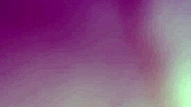 mr camilo working hard