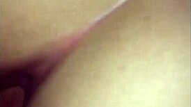 Moreliana At The Hotel