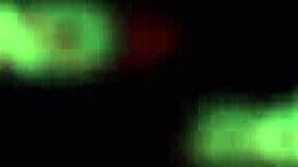 Victor Bloom Fucking Vidas