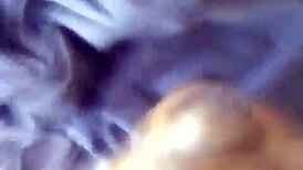 Are you wanking to this?