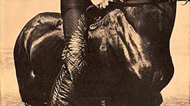 Pussy Taboo Vintage dibengkokkan doggystyle