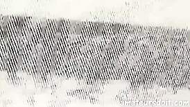 Asian Jock in Wild Bareback Foursome with Cum Eating!