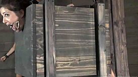 ferocious whipping leaves gal begging for more