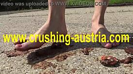 amber plays with feet and food outdoors