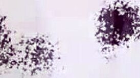 Japanese teen rides in stockings