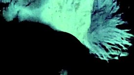 vintage milf reveals hairy secrets behind closed doors in retro scene