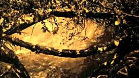 Какие секреты скрываются в сказке Стрекозы от Dark Lantern Entertainments?