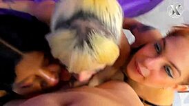 colombian sluts twerk for deep pov blowjobs