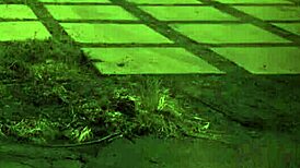 Tape Bondage Unless Youre From The Sixties And Delve That Earth Milf