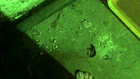 female dirty soles in barefoot amateur fetish