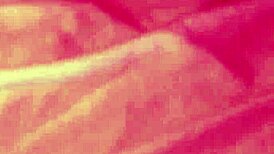 kiara lee tries anal first