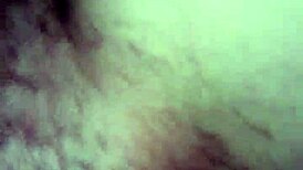 Talia gets her pussy sucked and fucked in pov