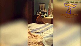 Hairy pussy gets funny attention!