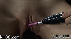 Extreme competition game with intense challenges and surprises