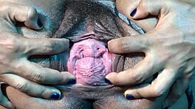 A juicy pussy drips with wetness in close-up view