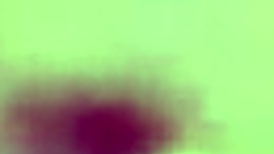 video from february ten twenty seventeen