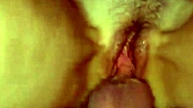 Homemade Video of Moaning and Fucking with Cum