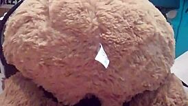 would you like to be my teddy bear